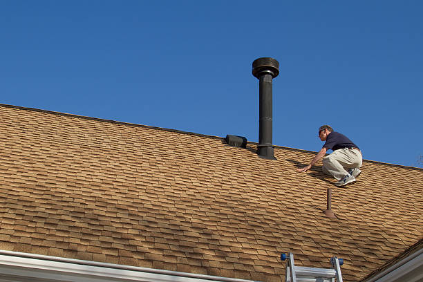 Best Roof Moss and Algae Removal  in Windham, OH