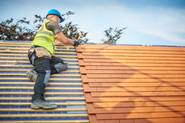 Best Roof Insulation Installation  in Windham, OH